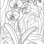 coloriage Orchidée pour enfants à imprimer