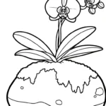 coloriage Orchidée et dessin a imprimer