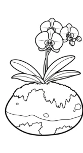 coloriage Orchidée et dessin a imprimer