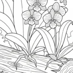 coloriage Orchidée pour enfant de 10 ans