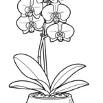 coloriage Orchidée à imprimer gratuit