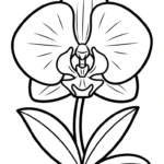 coloriage Orchidée à imprimer pour enfant de 6 ans