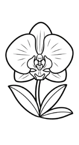 coloriage Orchidée à imprimer pour enfant de 6 ans