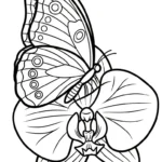 coloriage Orchidée pour enfant de 8 ans