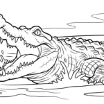 coloriage Crocodile gratuit en ligne