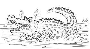 coloriage Crocodile à imprimer