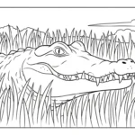 coloriage Crocodile a imprimer gratuit