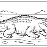 coloriage Crocodile pour enfant de 6 ans