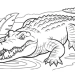 coloriage Crocodile pour enfants à télécharger