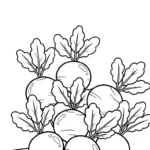 coloriage Legumes gratuit à imprimer
