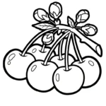 coloriage Cerise pour enfant de 4 ans