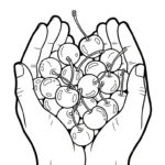 coloriage Cerise pour primaire