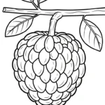 coloriage Chérimole à imprimer gratuitement