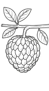 coloriage Chérimole à imprimer gratuitement