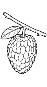 coloriage Chérimole a colorier en ligne gratuitement