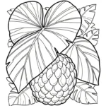 image de coloriage Chérimole pour enfant