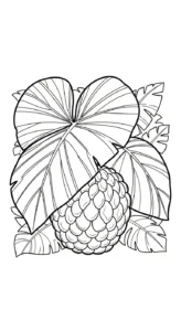 image de coloriage Chérimole pour enfant