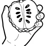coloriage Chérimole educatif pour enfant