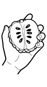 coloriage Chérimole educatif pour enfant