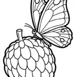 coloriage Chérimole à imprimer pour enfant de 3 ans