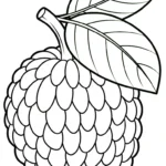 coloriage Chérimole à imprimer gratuit