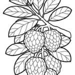 coloriage Chérimole d