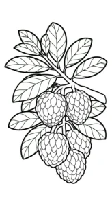 coloriage Chérimole d
