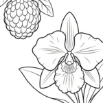 coloriage Chérimole à imprimer pour enfant de 7 ans