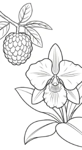 coloriage Chérimole à imprimer pour enfant de 7 ans