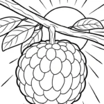 coloriage Chérimole et dessin a imprimer