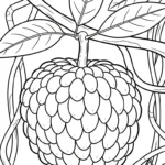 coloriage Chérimole pour enfant de 8 ans