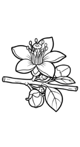 coloriage Chérimole pour enfants a imprimer