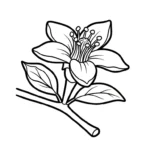 coloriage Chérimole gratuit à imprimer