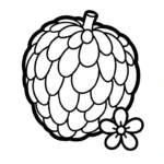 coloriage Chérimole pour enfant de 5 ans