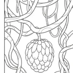 coloriage Chérimole pour enfant de 4 ans