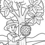 coloriage Chérimole à imprimer