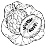 coloriage Chérimole à imprimer pdf gratuit
