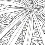 coloriage Dragonnier à imprimer pdf gratuit