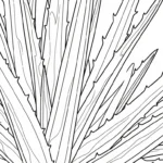 coloriage Dragonnier pour enfant à imprimer
