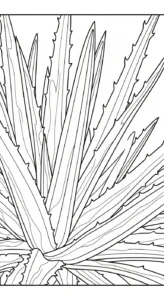 coloriage Dragonnier pour enfant à imprimer