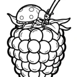 coloriage Framboise a imprimer gratuit