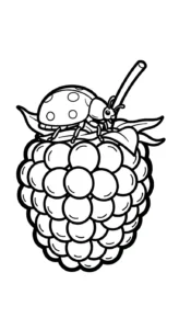 coloriage Framboise a imprimer gratuit