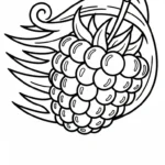coloriage Framboise gratuit a imprimer