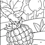 coloriage Framboise pour enfants a imprimer gratuit