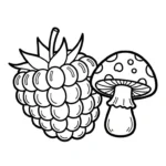 coloriage Framboise educatif pour enfant