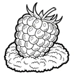coloriage Framboise pour enfants