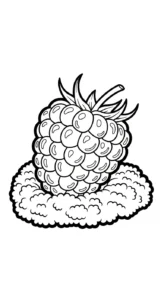 coloriage Framboise pour enfants