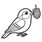 coloriage Framboise et apprentissage