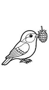 coloriage Framboise et apprentissage