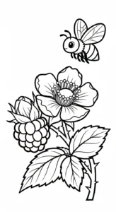 coloriage Framboise et dessin a imprimer